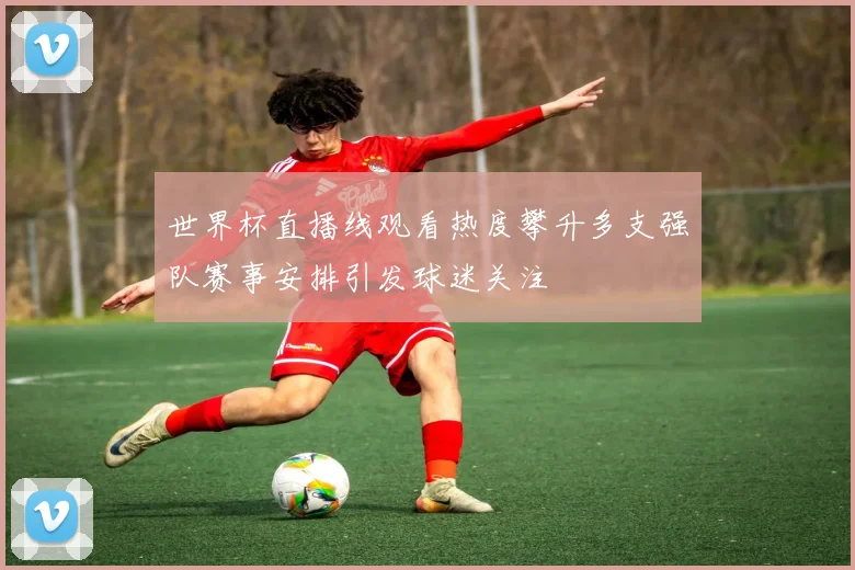 世界杯直播线观看热度攀升多支强队赛事安排引发球迷关注