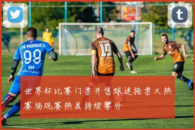 世界杯比赛门票开售球迷抢票火热赛场观赛热度持续攀升