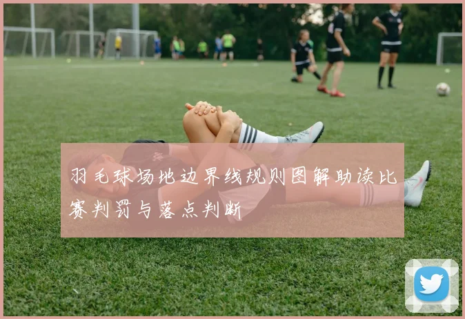 羽毛球场地边界线规则图解助读比赛判罚与落点判断